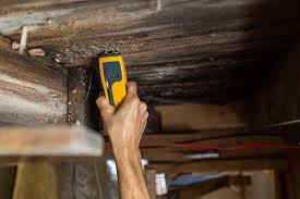 Moisture meter reading taken during building evaluation